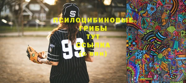 гидропоника Аркадак