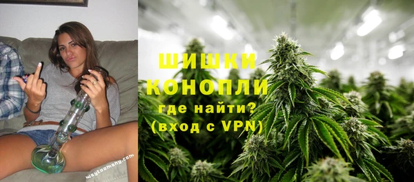 винт Арсеньев
