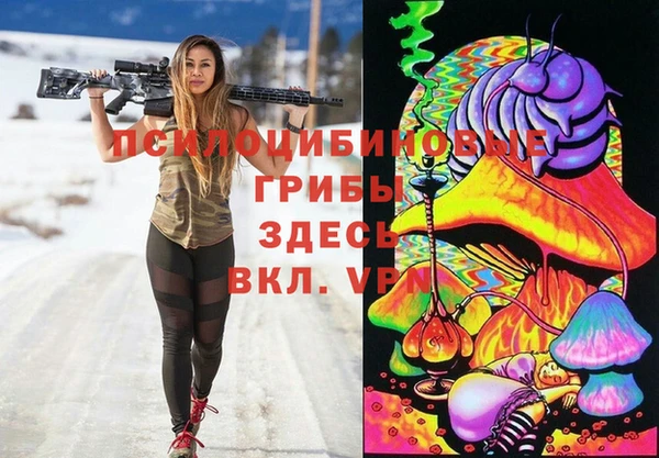 гидропоника Аркадак