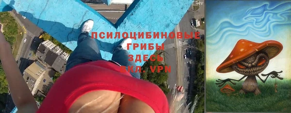 винт Арсеньев