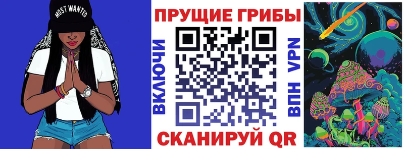 купить наркотик  ОМГ ОМГ ссылки  Галлюциногенные грибы MAGIC MUSHROOMS  Белая Холуница 